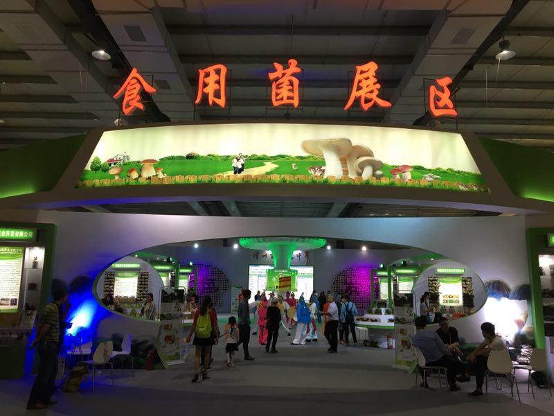 amjs澳金沙门线路(中国)有限公司-BinG百科