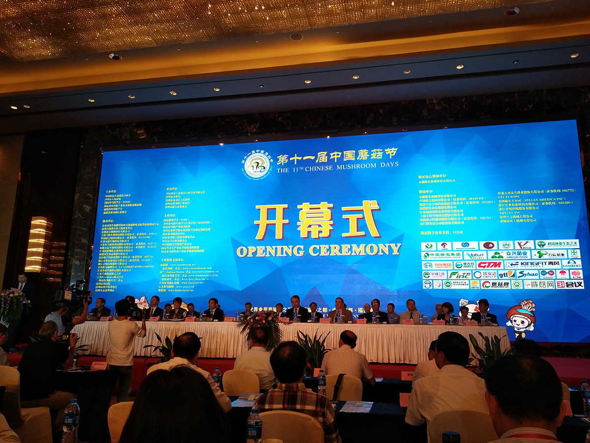 amjs澳金沙门线路(中国)有限公司-BinG百科