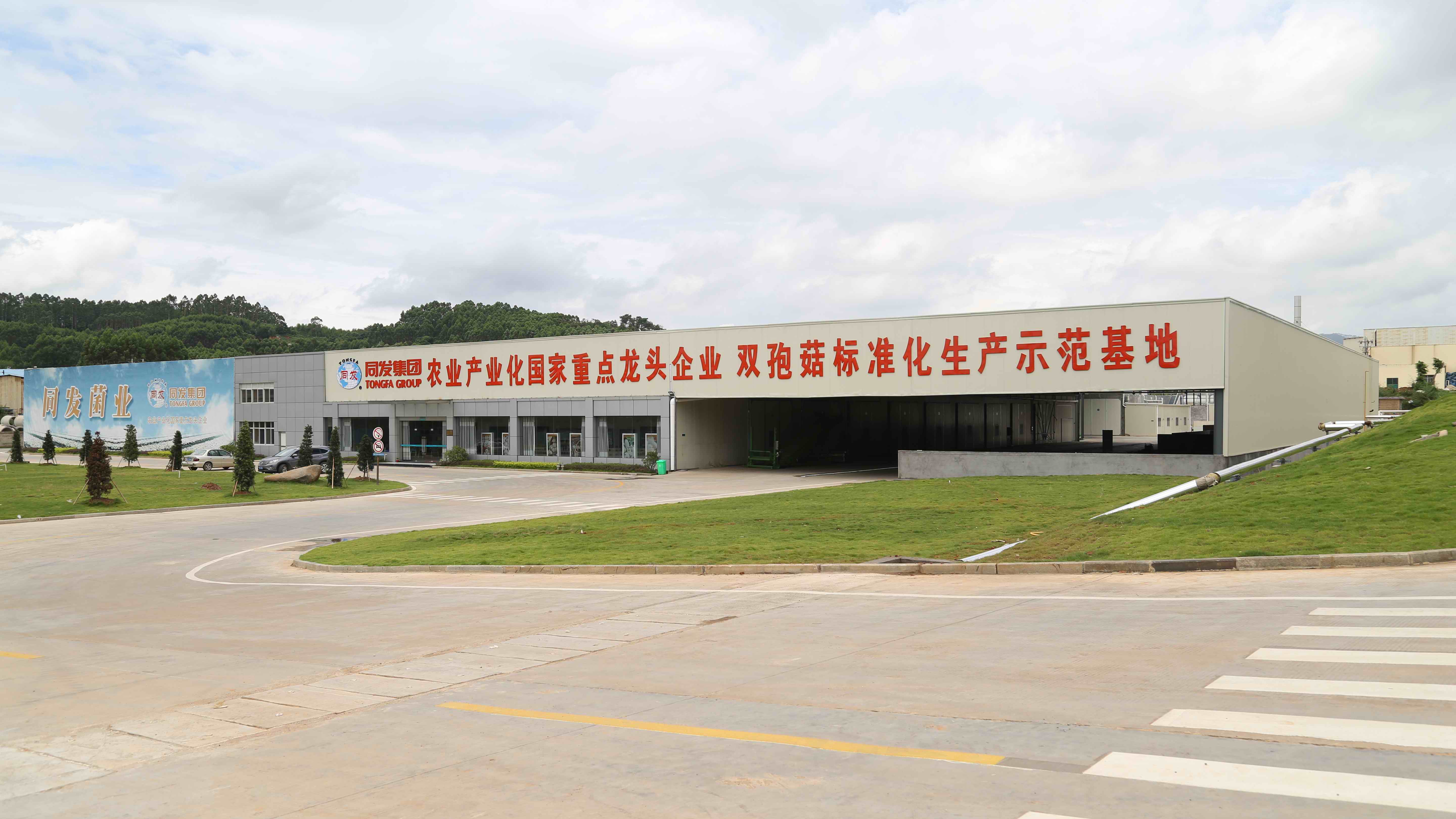 amjs澳金沙门线路(中国)有限公司-BinG百科