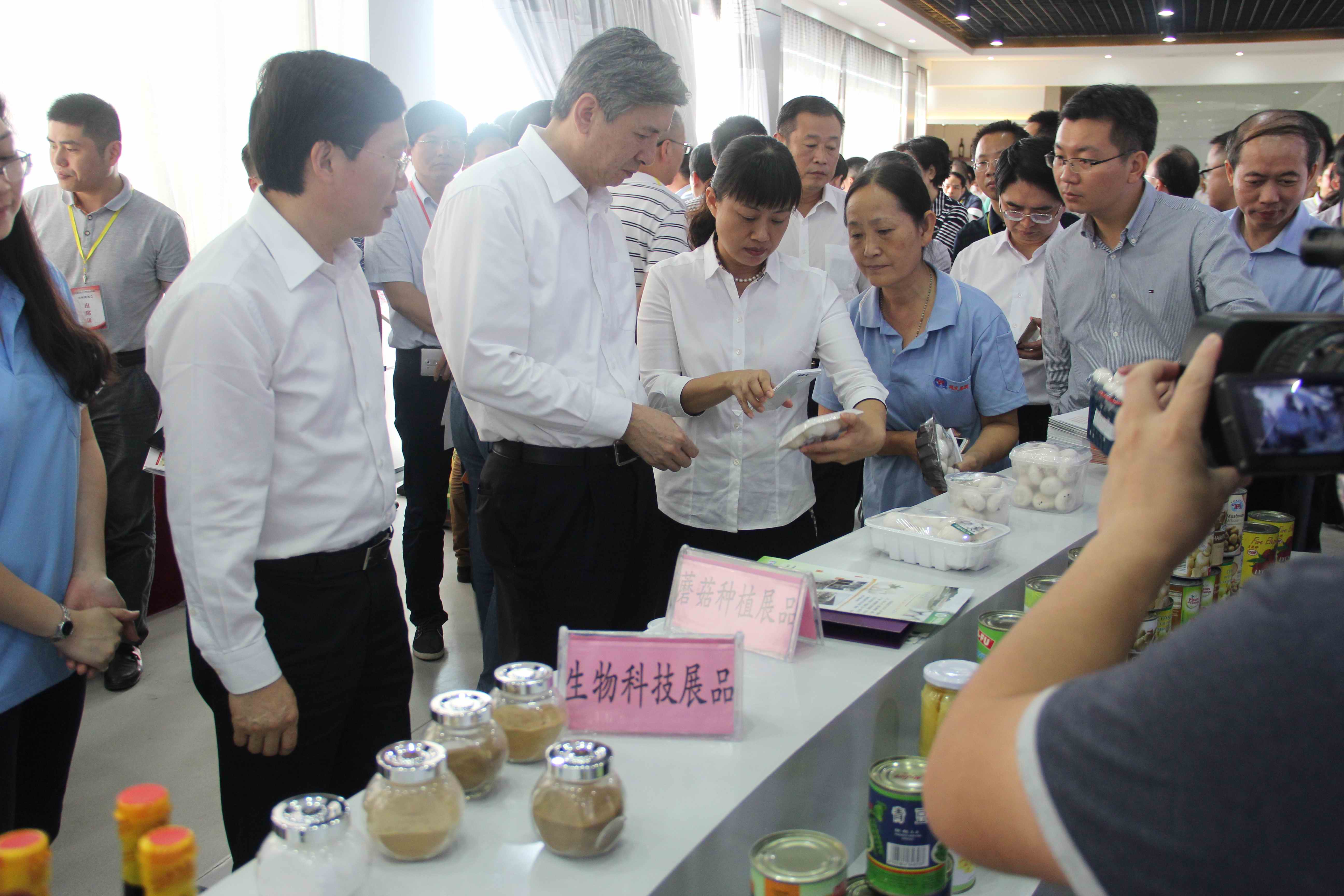 amjs澳金沙门线路(中国)有限公司-BinG百科